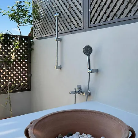 Bellis Perennis * Argostoli (Kefalonia)