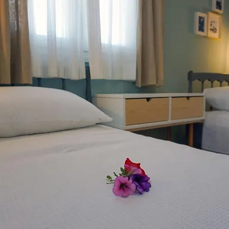 Bellis Perennis Argostoli (Kefalonia)