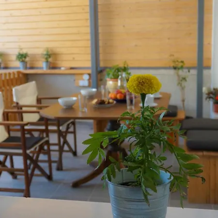 Apartament Bellis Perennis *